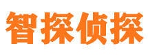 遂宁市私家侦探